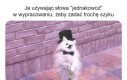 Elegancko