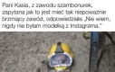 Jest pytanie jest odpowiedź