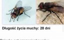 Wyzwanie zostało rzucone
