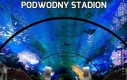 Podwodny stadion
