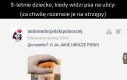 Spokojnie, nie gryzie