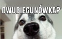 Dużo wody pij