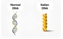 Rodzaje DNA