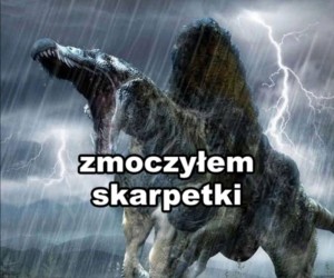 Teraz nic już nie będzie takie samo