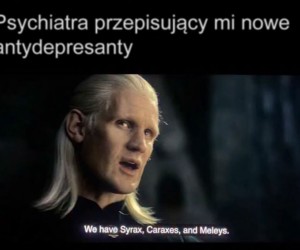 Jest z czego wybierać