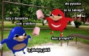 Ogarnij się człowieku