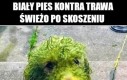 Kto wygrał?