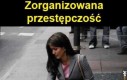 Zorganizowana przestępczość