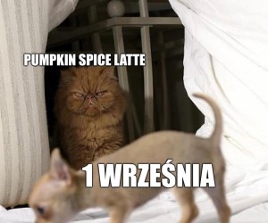 Moje ciało jest gotowe