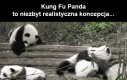 Kung Fu Panda to niezbyt realistyczna koncepcja
