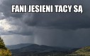 Mamy to