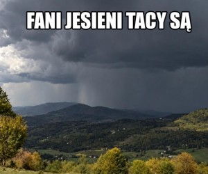 Mamy to