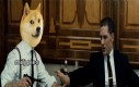 One woof VS my antisociality