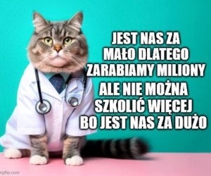 Lekarze Schrödingera
