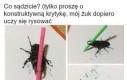 Sztuka nowoczesna
