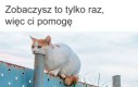 Iluzja