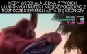 Strzelanina może poczekać