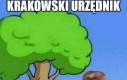 Krakowiak jak mało który