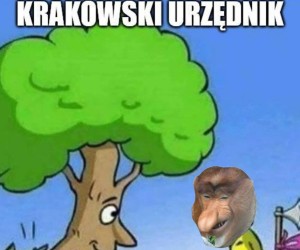 Krakowiak jak mało który