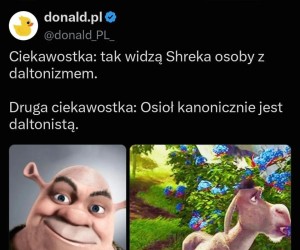 To wiele tłumaczy