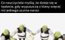 Pradawne rytuały