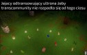 Żopa