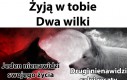 Ach, kolejny dzień