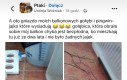 Gołębie to najlepsi budowniczy