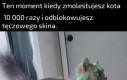 Archiwalne zdjęcie z Gdańska zrobione przez niezależnych dziennikarzy