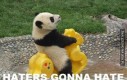 Panda na poprawę humoru