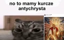 Kurcze blaszka