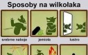 Może się przydać na Halloween