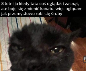 Bardzo interesujące
