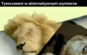 Kocham te artystyczne koce