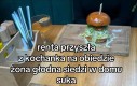 Tak trzeba żyć