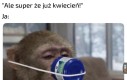 Wiecznie zapchany