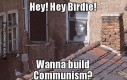 Chcesz budować komunizm?