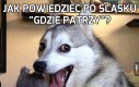 Jak powiedzieć po śląsku 