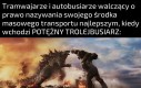 Trolejbus jest jak dziecko z kuzynką, ale zachowało najlepsze cechy z obu stron
