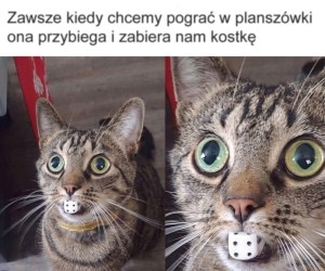 Musi bardzo nie lubić tego typu gier