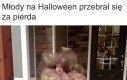 Raczej nikt mu pomysłu nie podwędzi
