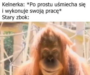 Nie, nie leci