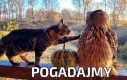 Pogadajmy