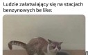 Korzystanie z toalety jak cywilizowany człowiek takie trudne