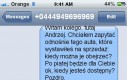 Za szybki rozwój sytuacji