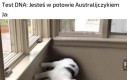 Już zawsze będę tak chodzić
