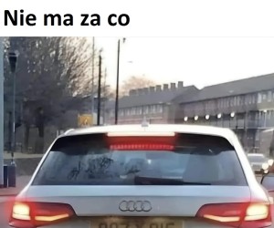 I cyk, matura (to bzdura) zdana