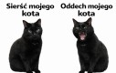 Ciekawy kontrast