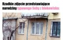 Narodziny Wenus - edycja Radom 2007