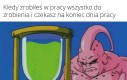 PS. Nie opłaca się starać w Pracy